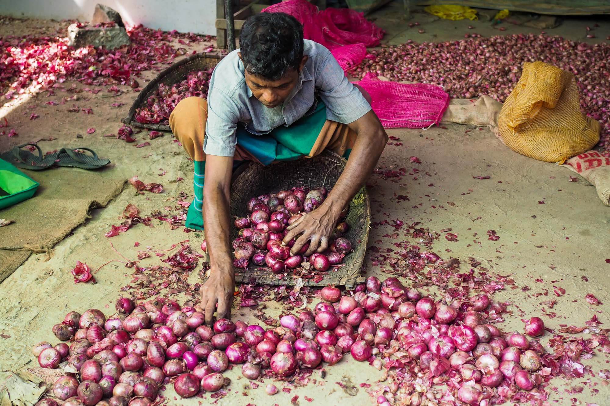 Onions, Sri Lanka - Travel photographer